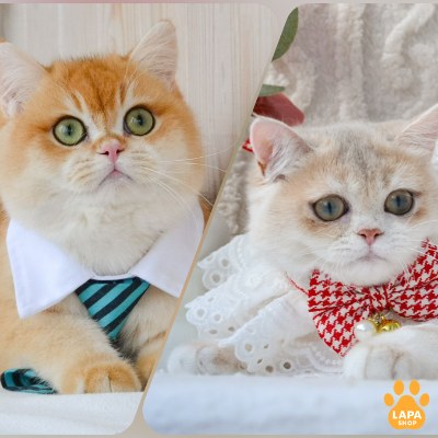 Parents together