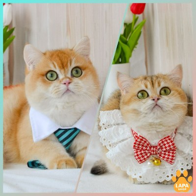 Батьки разом